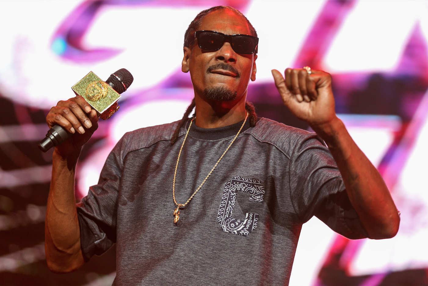 Snoop Dogg, Drogtest